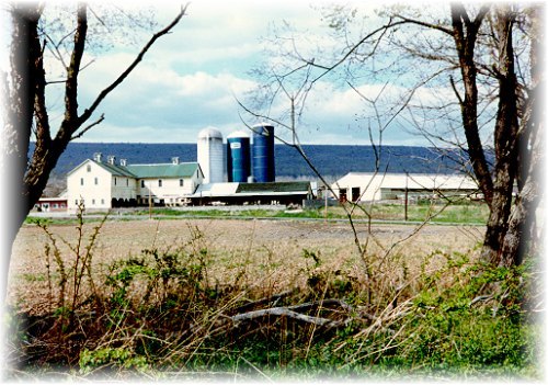 PA Dairy Farm
