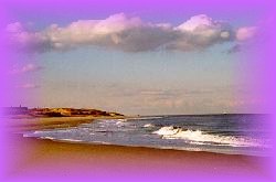 the beach at Cape Henlopen